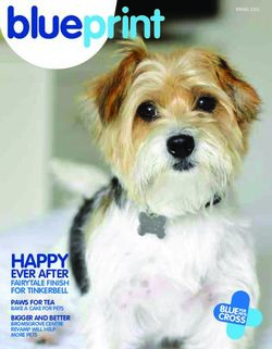 Blueprint SPRING 2015 - Blue Cross