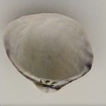 SOTHEBY'S TO PRESENT NATIVELY DIGITAL: A CURATED NFT SALE