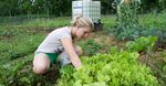 CAMPUS SUSTAINABILITY PLAN - LEHIGH UNIVERSITY
