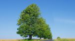 Lipa Real Estate Fund - Value driven income and growth June, 2020 - SymVest