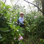 BUDGET 2019 SUPPLEMENTARY DIRECTORATE REPORTS - OFFALY COUNTY COUNCIL