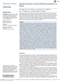 Spatial dynamics of the COVID-19 pandemic in Brazil