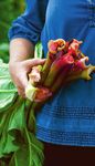 Planting instructions - AUTUMN 2021 - sarahraven.com - Sarah Raven