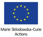 Policy brief - The Institute for European Studies