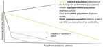 Phenotypic heterogeneity in persisters: a novel 'hunker' theory of persistence