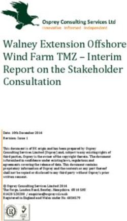 Walney Extension Offshore Wind Farm TMZ - Interim Report on the Stakeholder Consultation