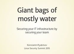 Giant bags of mostly water - Securing your IT infrastructure by securing your team