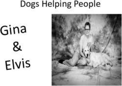 Dogs Helping People - Airstream Rally Presentation 2019