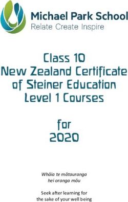 Class 10 New Zealand Certificate of Steiner Education Level 1 Courses for 2020 - Whāia te mātauranga hei oranga mōu - Michael Park School