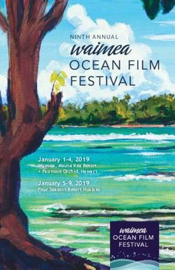 Ninth annual - January 1-4, 2019 Waimea, Mauna Kea Resort + Fairmont Orchid, Hawai'i - Waimea Ocean Film Festival