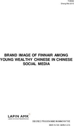 BRAND IMAGE OF FINNAIR AMONG YOUNG WEALTHY CHINESE IN CHINESE SOCIAL MEDIA