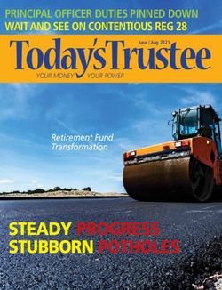 Today'sTrustee - STEADY PROGRESS STUBBORN POTHOLES - PRINCIPAL OFFICER DUTIES PINNED DOWN WAIT AND SEE ON CONTENTIOUS REG 28 - Today's Trustee