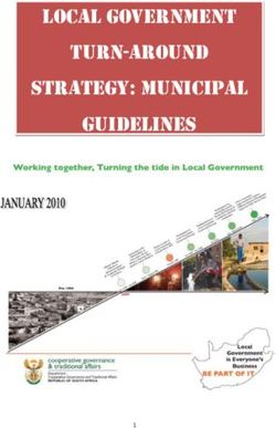 LOCAL GOVERNMENT TURN-AROUND STRATEGY: MUNICIPAL GUIDELINES