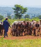 A Decade of Progress Feed the Future Snapshot