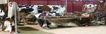 2020 FREE FAIR AUGUST 19-22 113th ANNUAL - Oklahoma ...