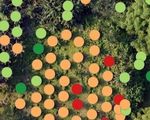 UAV application to estimate oil palm trees health using Visible Atmospherically Resistant Index VARI Case study of Cikabayan Research Farm ...