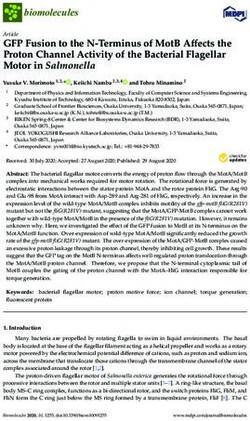GFP Fusion to the N-Terminus of MotB Affects the Proton Channel Activity of the Bacterial Flagellar Motor in Salmonella - MDPI
