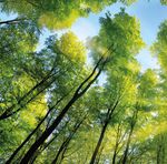 A continental view of connected environmental research
