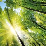 A continental view of connected environmental research
