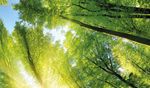 A continental view of connected environmental research