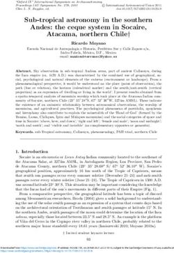 Sub-tropical astronomy in the southern Andes: the ceque system in Socaire, Atacama, northern Chile