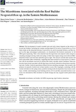 The Microbiome Associated with the Reef Builder Neogoniolithon sp. in the Eastern Mediterranean