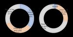 The future character of information in strategy