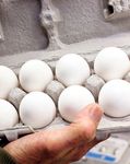 Egg Safety: What You Need to Know - FDA