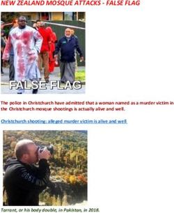 NEW ZEALAND MOSQUE ATTACKS - FALSE FLAG