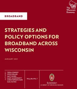 STRATEGIES AND POLICY OPTIONS FOR BROADBAND ACROSS WISCONSIN - BROADBAND - JANUARY 2021