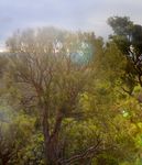 Climate Change Plan 2021-2026 - City of Kwinana