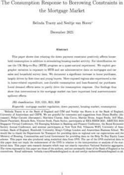 The Consumption Response to Borrowing Constraints in the Mortgage Market