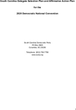 South Carolina Delegate Selection Plan and Affirmative Action Plan for the 2020 Democratic National Convention - South Carolina Democratic Party ...