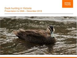 Duck hunting in Victoria - Presentation to GMA - December 2018 - Game ...