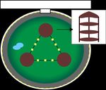 The activity budgets of captive orangutan (Pongo pygmaeus) in two different Indonesian zoos