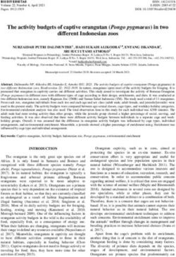 The activity budgets of captive orangutan (Pongo pygmaeus) in two different Indonesian zoos