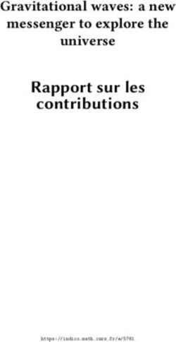 Rapport sur les contributions - Gravitational waves: a new messenger to explore the universe - CNRS