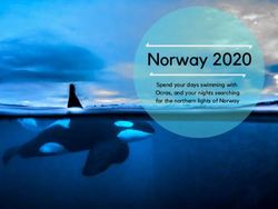 Norway 2020 Spend your days swimming with Ocras, and your nights searching for the northern lights of Norway