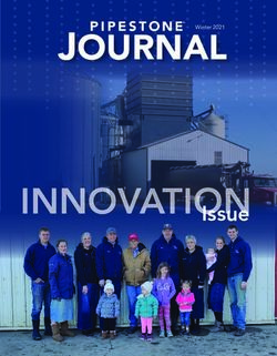 JOURNAL - Issue - PIPESTONE