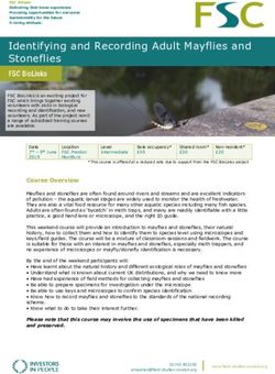 Identifying and Recording Adult Mayflies and Stoneflies - Field Studies ...