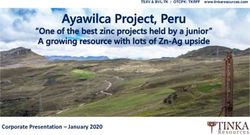 Corporate Presentation - January 2020 - TSXV & BVL:TK | OTCPK: TKRFF www.tinkaresources.com - Tinka Resources Ltd.