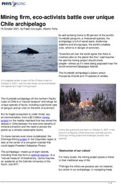 Mining firm, eco-activists battle over unique Chile archipelago