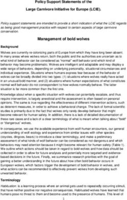 Management of bold wolves - Policy Support Statements of the Large Carnivore Initiative for Europe (LCIE).