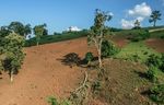 Forests for Future: Forest landscape restoration in Southwest Ethiopia - Nature ...