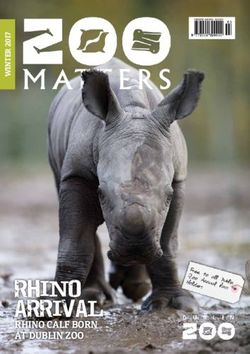 RHINO ARRIVAL RHINO CALF BORN AT DUBLIN ZOO - Zoo Annual Pass Holders - Content Hub
