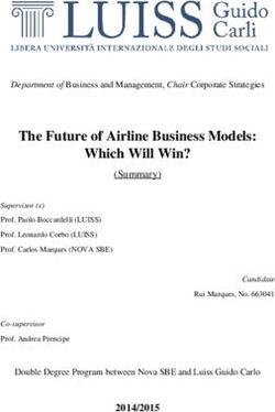 The Future of Airline Business Models: Which Will Win?