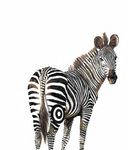 Sometimes we need to think of zebras: The identification of bone tumors in children - BC Medical Journal
