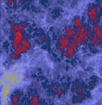 Lifetime of Interstellar Clouds