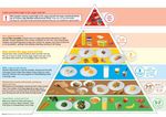 AHFES A QUADRUPLE HELIX ATLANTIC AREA HEALTHY FOOD ECOSYSTEM FOR GROWTH OF SMES
