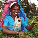 20 20 STRATEGY FOR THE GEF - Global Environment Facility